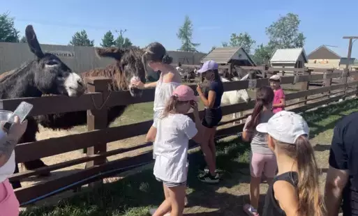 Spotkanie mieszkańców Mini Zoo